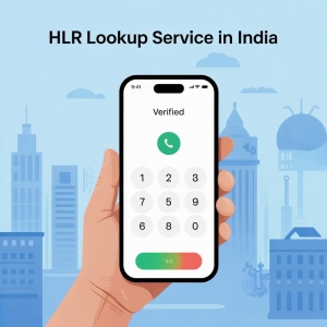 HLR Lookup Service