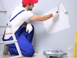 Transforming Your Home with Interior Painting Services in Gibsons BC: A Complete Guide by Skyrise Painting