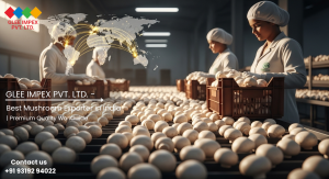 Mushroom Exporter from India – Glee Impex Pvt. Ltd. | Best Global Supplier