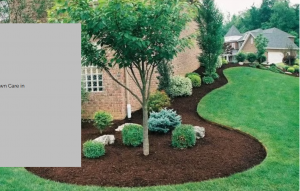 Professional Leaf Clean Up Services for Properties in Dartmouth