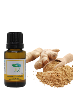 Discover the Power of Ginger Essential Oil Today