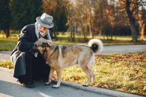 A lasting forever impact: How to build a legacy for dogs in shelters