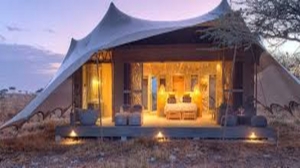 Tanzania Safari Travel Packages 2025 – Your Dream Adventure Awaits