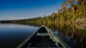 Top Things to Do on a Tambopata Amazon Tour