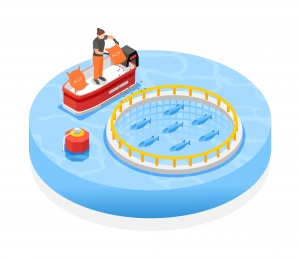 Precision Aquaculture Market Size, Share, End-User Insights & Trends, 2032
