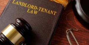 Why a Landlord Tenant Attorney NYC Is Crucial in Today’s Rental Landscape
