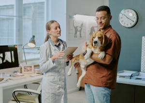 Cattle and Swine Healthcare: Choosing the Right Veterinary Medicine and Supplements