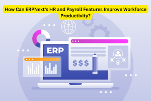 How Can ERPNext's HR and Payroll Features Improve Workforce Productivity?