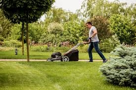 Boost Your Lawn Growth with Expert Soil Treatments