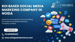 ROI Based Social Media Marketing Company in Noida 