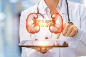 10 Daily Habits for Healthy Kidneys Recommended by Nephrology Experts
