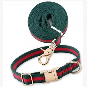 The Complete Guide to Dog Collars: Everything You Need to Know in 2025