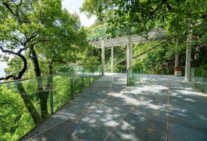 5 Benefits of Green Spaces for Mental Health and Wellness