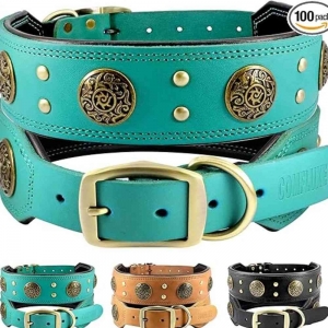 Dog Collars: Your Complete 2025 Guide to Choosing the Perfect Collar
