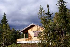 What Makes a Luxury Tiny House in New Zealand Worth the Investment