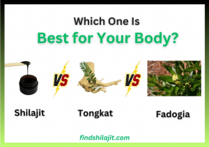 Shilajit vs Tongkat Ali vs Fadogia – Which One Should You Choose?