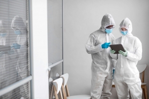 Clearing the Air: Why Professional Mold Remediation in Indianapolis is Essential
