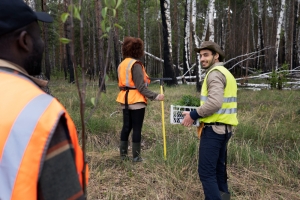 environmental testing services