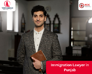 Your Trusted Immigration Lawyer in Punjab: Guiding You Through Global Pathways with Expertise