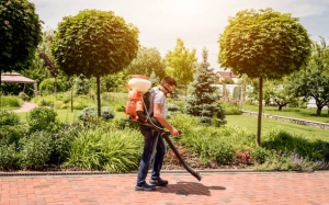 Reclaim Your Outdoors with Expert Mosquito Control in Port St. Lucie
