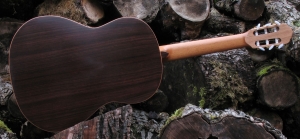Choose the Right Guitar Back and Sides Set
