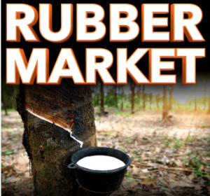 Rubber Market Growth Outlook – Industry Share, Drivers & Opportunities | Forecast to 2032