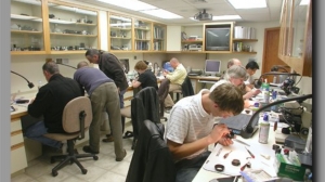 Who Provides Dependable Laboratory Microscope Repair and Sales?