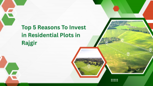 Top 5  Reasons To Invest in Residential Plots in Rajgir | Rumi Developer