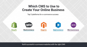 Which CMS to Use to create your online business