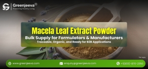 Macela Leaf Extract Powder: A Strategic Ingredient for Formulators & Bulk Buyers