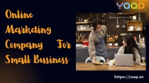 Online Marketing Company for Small Business – Visibility Boost