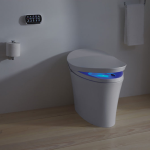The Future of Bathroom Comfort: Kohler Veil Intelligent Wall Faced Toilet