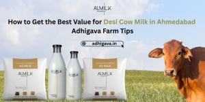 How to Get the Best Value for Desi Cow Milk in Ahmedabad – Adhigava Farm Tips