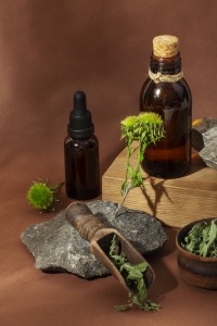Ayurvedic Lung Detox Medicine Supplier in India – Shelmak Lifesciences