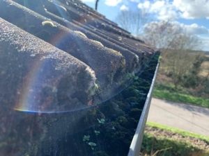 Protect Your Home with the Best Gutter Cleaning Services