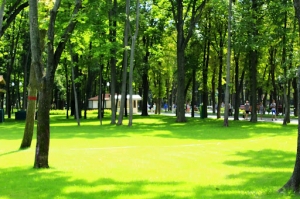 What Benefits Do Urban Green Spaces Provide?