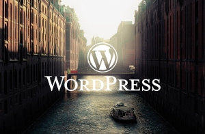Why Choose WordPress Agentur Hamburg for Guest Blogging?