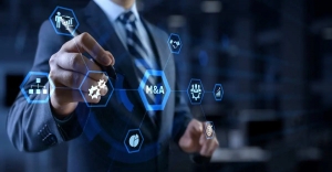 Questions About the M&A Process 