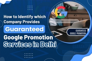 How To Identify Which Company Provides Guaranteed Google Promotion Services in Delhi