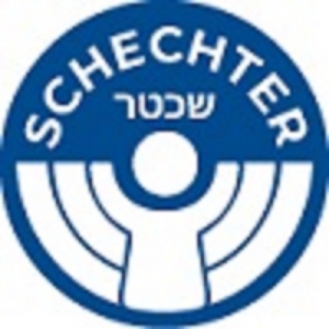 Jewish Day School In Chicago