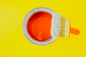 A Complete Guide to Finding the Best Paint for Interior Walls