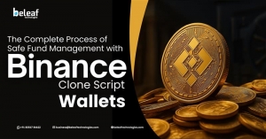 The Complete Process of Safe Fund Management with Binance Clone Script Wallets