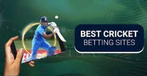 Start Winning Big with a Verified Cricket Betting ID from Tiger Exchanges 247
