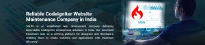 Ensuring Peak Performance with CodeIgniter Website Maintenance – MLRS Innovation