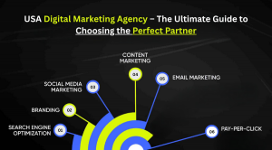 Why Apexseosolutions Offers the Best SEO Services Packages in the USA