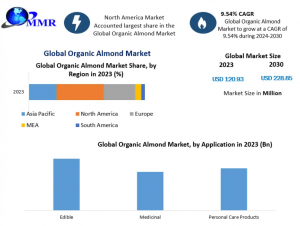 Organic Almond Market Demand Forecast: Consumption Patterns and Key Drivers