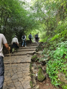 From Forts to Forests: Historical Trekking Trails in Rajasthan