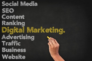 Transform Your Brand with a Professional Digital Marketing Agency in Delhi?