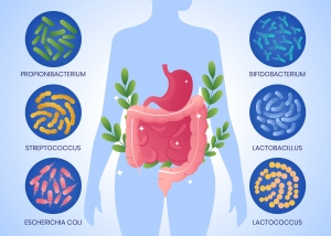 The Gut-Brain Connection: How UK Gut Health Specialists Are Treating Anxiety, Mood, and IBS Naturally