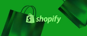 How Professional Shopify Store Design Can Elevate Your Brand Identity